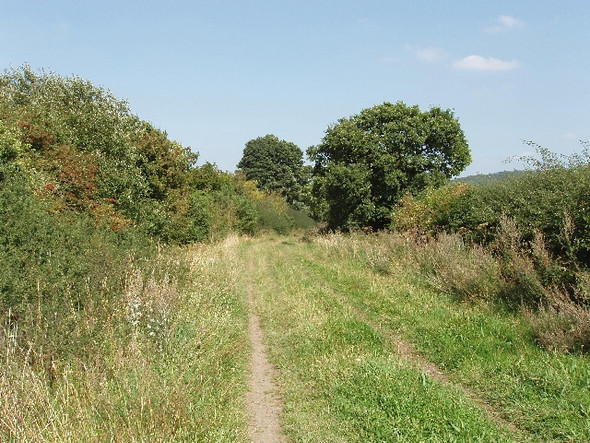 Photo 6"x4" Icknield Way - The Ridgeway near Kingston Blount Kingston Blount c2008