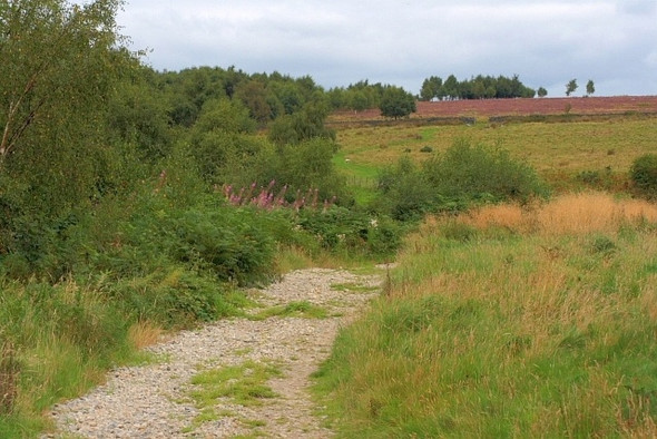 Photo 6"x4" Track Heading up Rudland Beck Fadmoor c2008