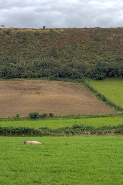 Photo 6"x4" Boon Hill Lowna c2008