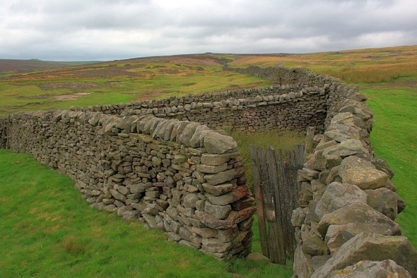 Photo 6"x4" Sheepfold, Hebden Beck Grassington c2008