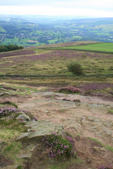 Photo 6"x4" View Down The Derwent Valley Ashopton c2008