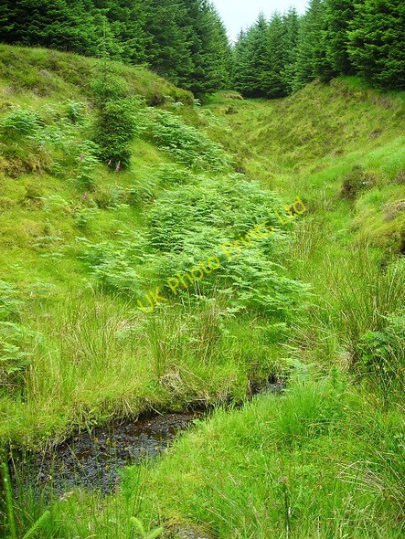 Photo 6"x4" Small Burn in Fiunary Forest Dubh Bhealach c2007