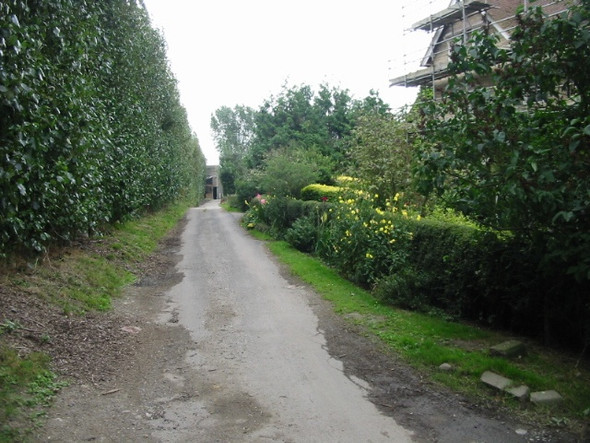 Photo 6"x4" View along Southern end of Pedding Lane Durlock\/TR2757 c2008