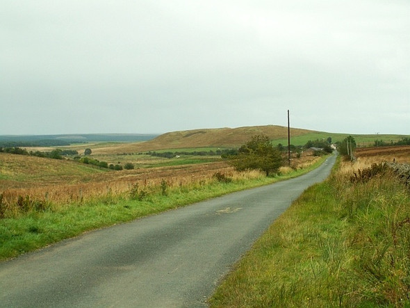 Photo 6"x4" Road to Forest Head Forest Head c2007