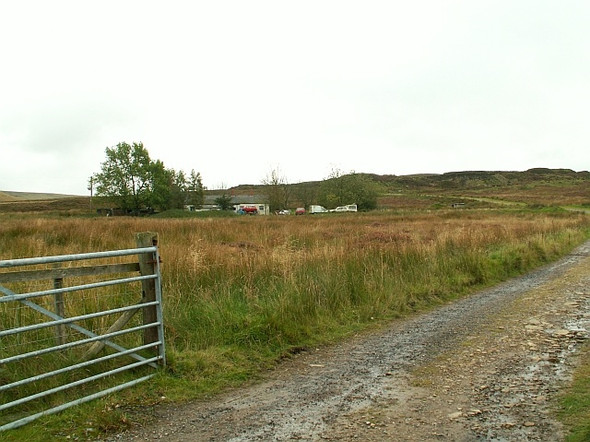 Photo 6"x4" Entry to North Pennines Access Land Forest Head c2007