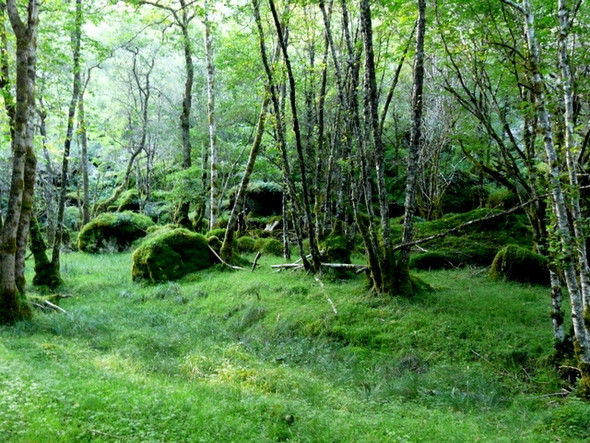 Photo 6"x4" Magical place in Glen Liath Easter Boleskine c2008