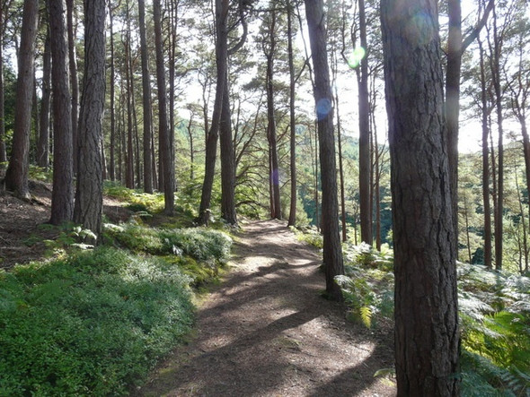 Photo 6"x4" Track at Foyers Foyers\/NH4920 c2008