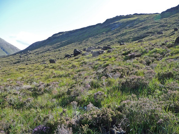 Photo 6"x4" North slopes of Meallan Dearg Meallan Dearg c2008