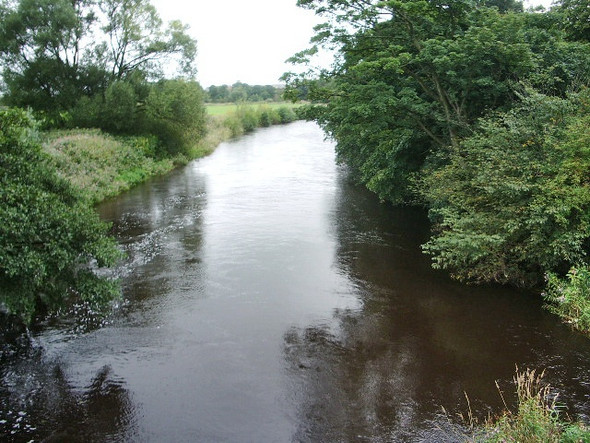 Photo 6"x4" River Wyre Cabus c2008