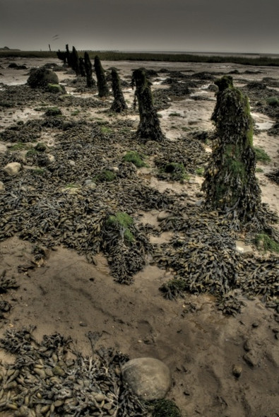 Photo 6"x4" Foreshore at Kilnsea Kilnsea c2008