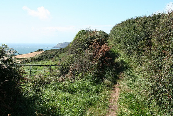 Photo 6"x4" Chivelstone: bridleway to Gammon Head East Prawle c2008
