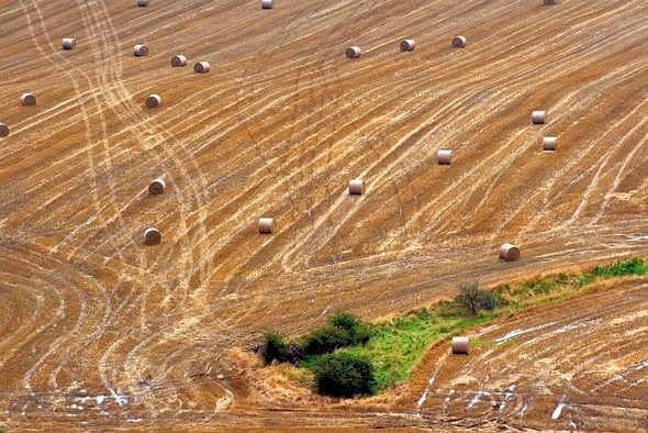 Photo 6"x4" Harvested Field Great Ayton c2008