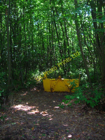 Photo 6"x4" Burgh Wood Burgh Hill\/TQ7226 c2007