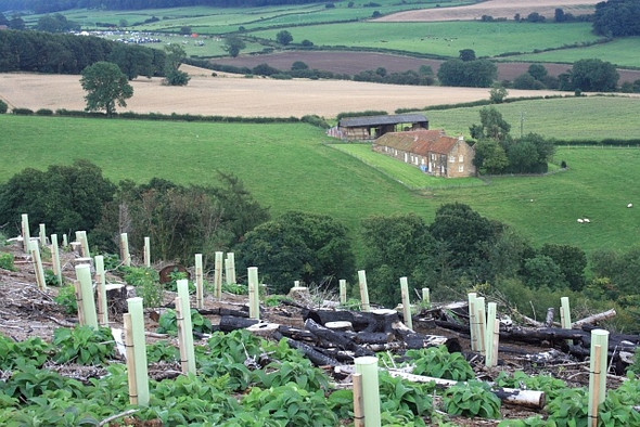 Photo 6"x4" Bleach Mill Farm Kildale c2008