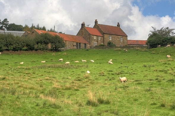 Photo 6"x4" Bankside Farm Kildale c2008