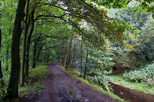 Photo 6"x4" Path along The Goit Brinscall c2008