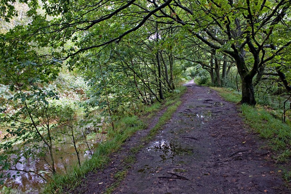 Photo 6"x4" Path along The Goit White Coppice c2008