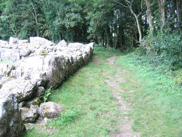 Photo 6"x4" The footpath to and from Din Lligwy Brynrefail\/SH4886 c2008