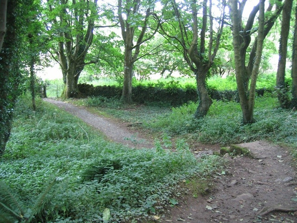 Photo 6"x4" Footpath, steps and gate at Din Lligwy Brynrefail\/SH4886 c2008