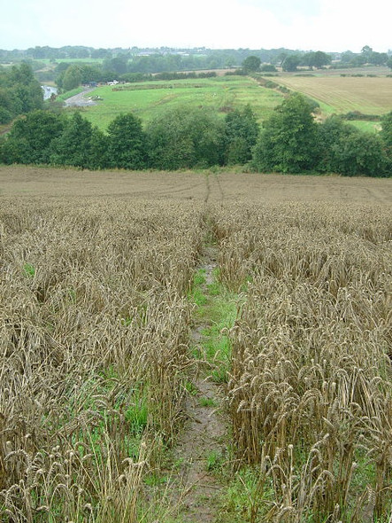 Photo 6"x4" Footpath from Spondon Cherrytree Hill c2008