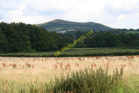Photo 6"x4" Hay Meadow Colwall c2007