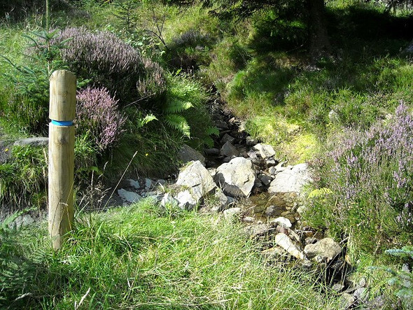 Photo 6"x4" Small Burn in Strathyre Forest Strathyre\/NN5617 c2008