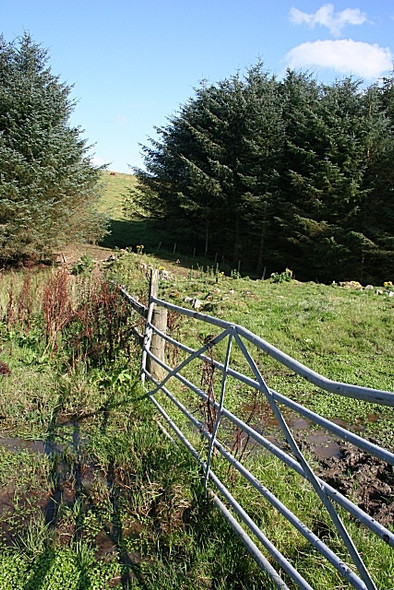 Photo 6"x4" A Gap and a Gate Bridgend\/NJ5135 c2008