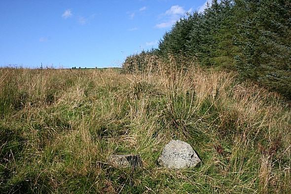 Photo 6"x4" Rough Field by the Core Burn Bridgend\/NJ5135 c2008