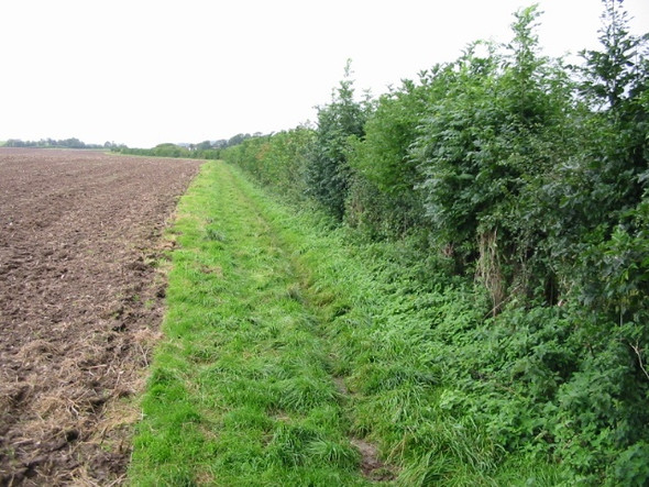 Photo 6"x4" Looking SW along the Elham Valley Way towards Lyminge Elham c2008