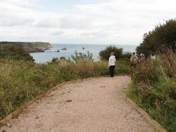 Photo 6"x4" Sharkham Point viewpoint Brixham c2008