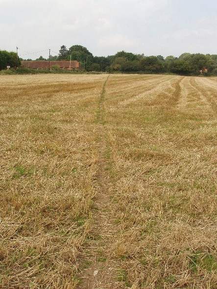 Photo 6"x4" Footpath through stubble Moor Common c2008