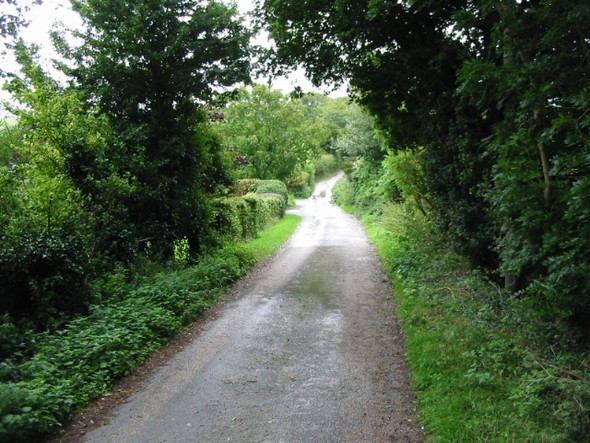 Photo 6"x4" Looking SE along Shuttlesfield Lane Elham c2008