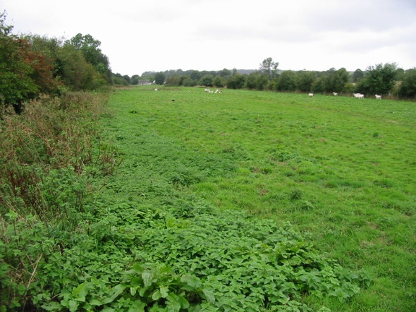 Photo 6"x4" View along the Elham Valley Way towards North Lyminge Lyminge c2008
