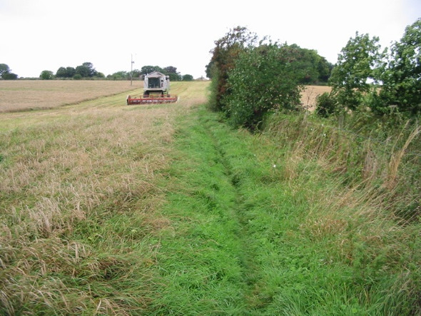Photo 6"x4" Footpath towards the Canterbury Road Lyminge c2008