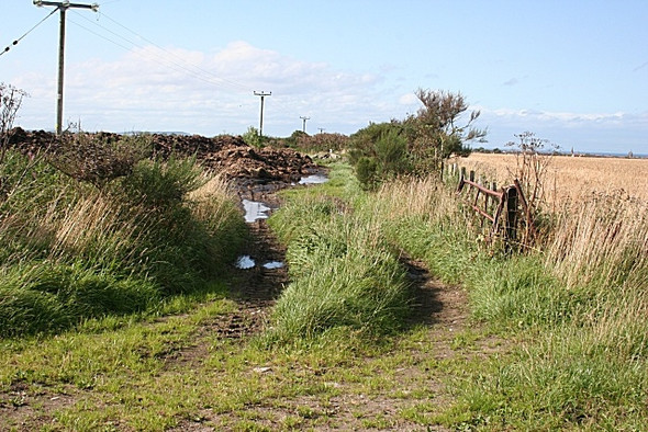 Photo 6"x4" Former Railway Line Buckie\/NJ4165 c2008
