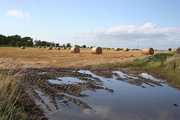Photo 6"x4" Wet and Dry Rathven c2008