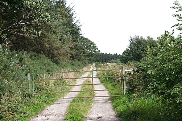 Photo 6"x4" No Through Road Rathven c2008