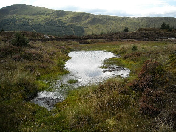 Photo 6"x4" Boggy Ground on Tom na h-Analach Strathyre\/NN5617 c2008