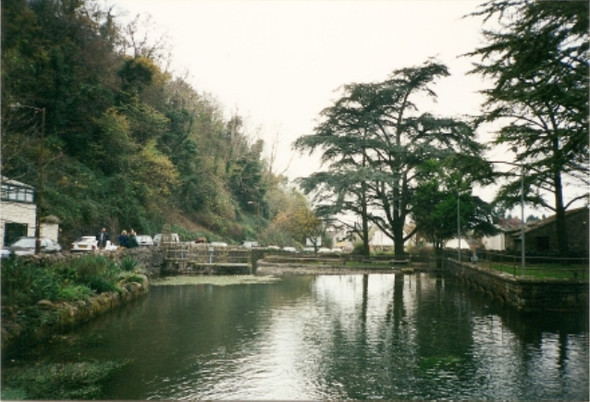 Photo 6"x4" Upper Pond Cheddar looking  towards Village Bradley Cross c2008