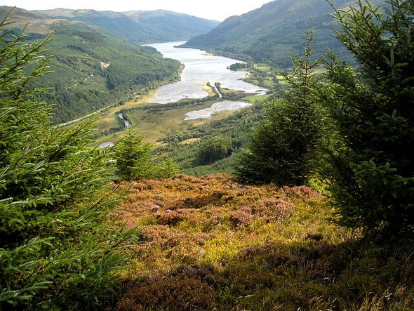 Photo 6"x4" Hillside above Strathyre Strathyre\/NN5617 c2008