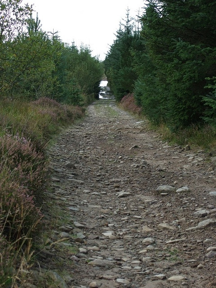Photo 6"x4" Sarn Helen Roman Road, Hirfynydd Crynant\/Creunant\/SN7905 c2008