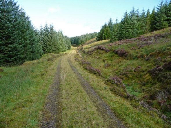 Photo 6"x4" Forest road in Glen Tungadal Mugeary c2008
