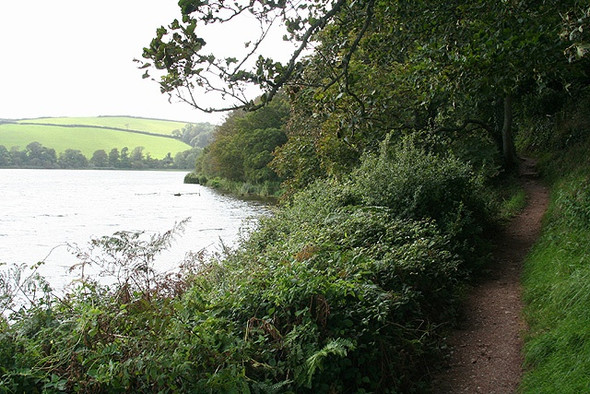 Photo 6"x4" Slapton: by Slapton Ley Slapton\/SX8245 c2008