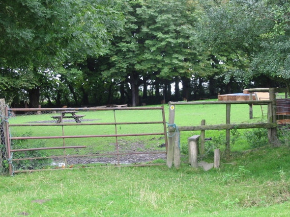 Photo 6"x4" Footpath through a paddock near Broadstreet Cottage Broad Street\/TR1640 c2008