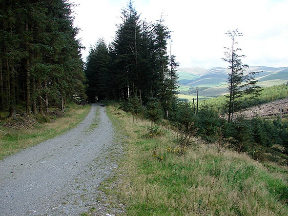 Photo 6"x4" Forestry road in Nant y Bog Llywernog c2008