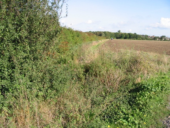 Photo 6"x4" Field boundary along footpath Hoo\/TR2964 c2008