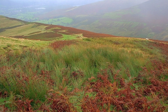 Photo 6"x4" Lanty Well Braithwaite\/NY2323 c2008