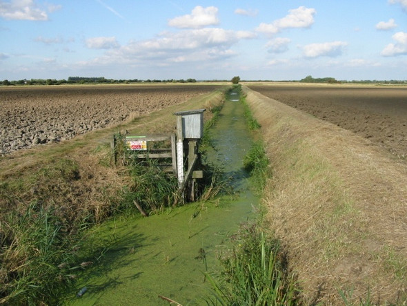 Photo 6"x4" Looking W along a drainage ditch Monkton Marshes Hoo\/TR2964 c2008