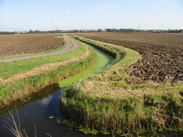 Photo 6"x4" Looking N over the drained Monkton Marshes Hoo\/TR2964 c2008