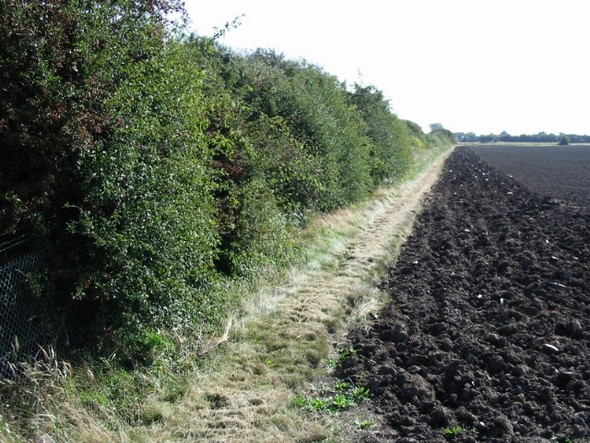 Photo 6"x4" Field boundary with the railway line, Looking ESE Hoo\/TR2964 c2008